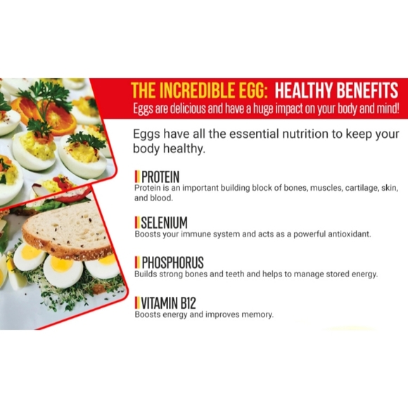 NEW EZ Eggs Hard Boiled Egg Peeler Handheld Specialty Kitchen Tool As Seen On TV - Picture 8 of 12